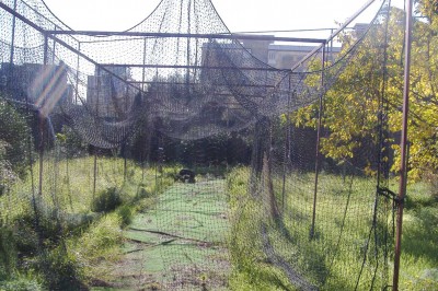 Gabbia rotta al campo IV Novembre